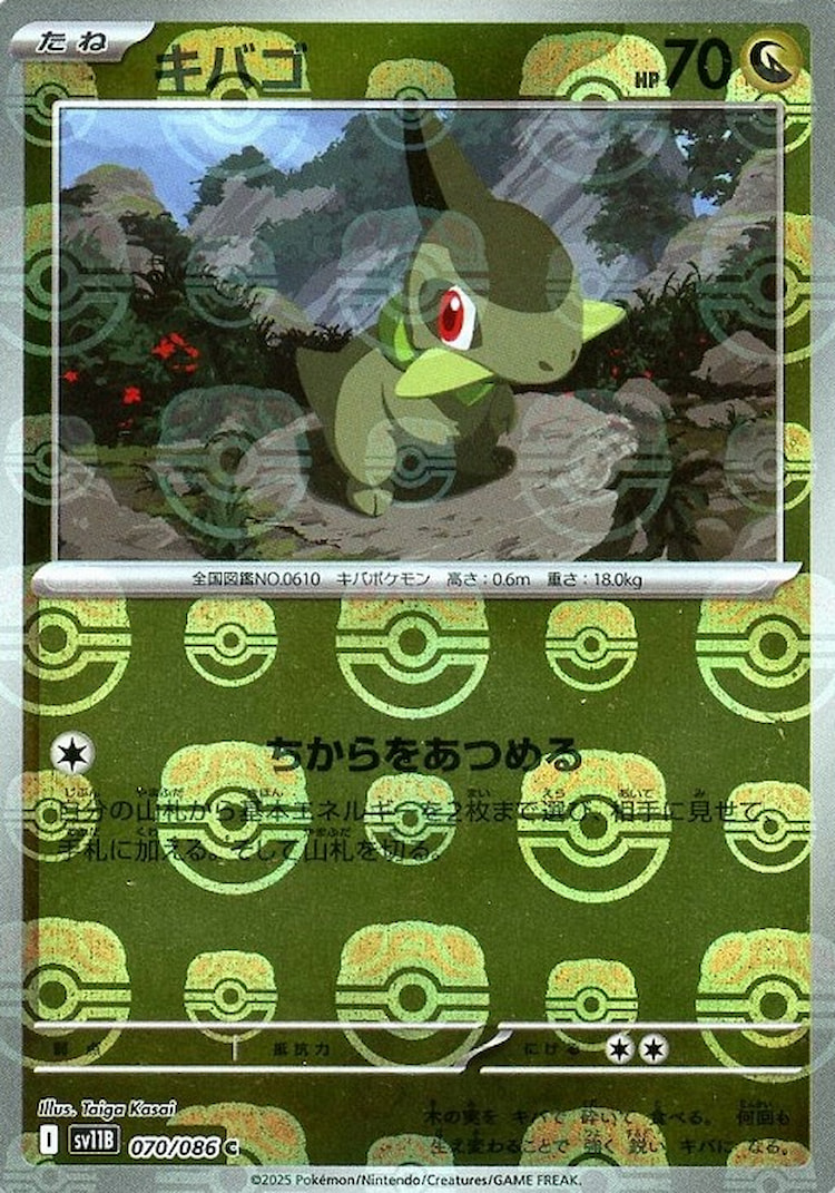 Black Bolt Axew Master Ball Mirror