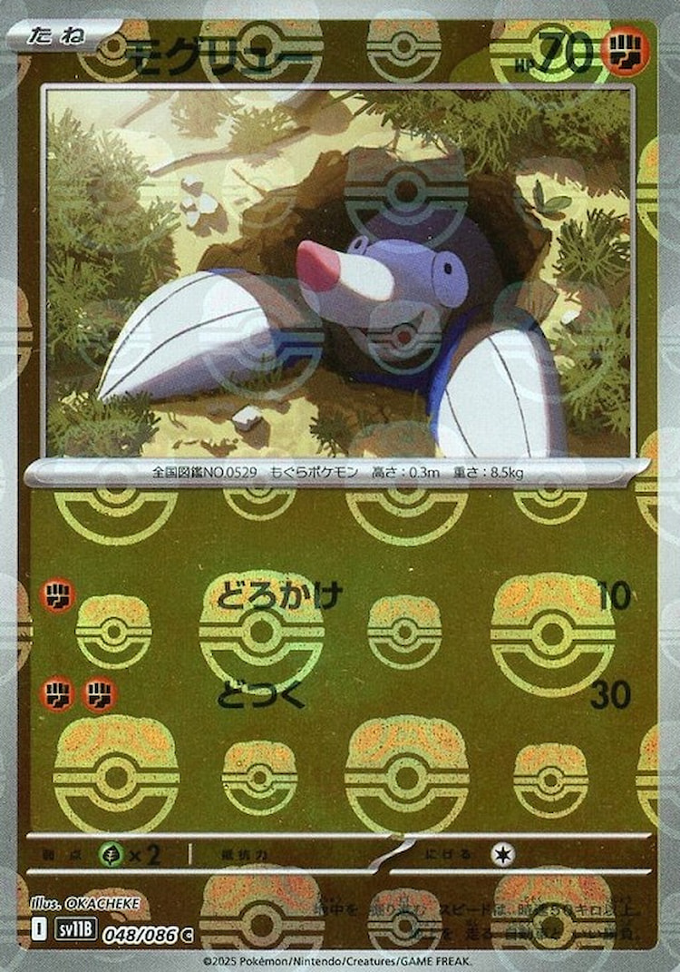 Black Bolt Drilbur Master Ball Mirror