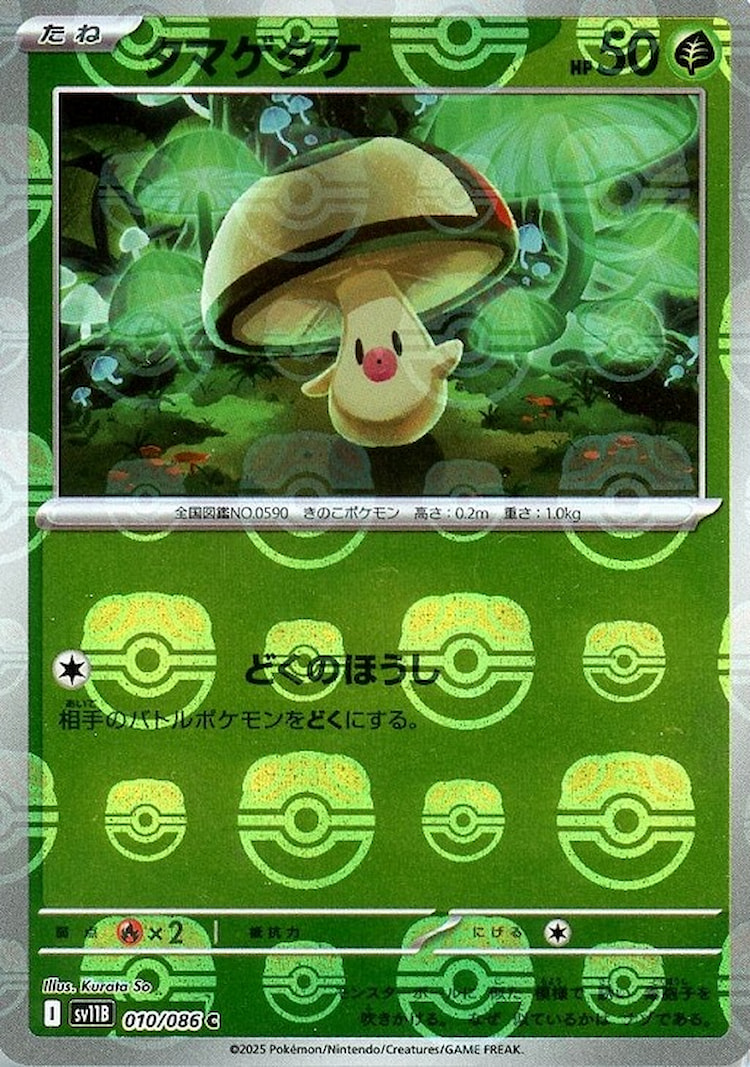 Black Bolt Foongus Master Ball Mirror