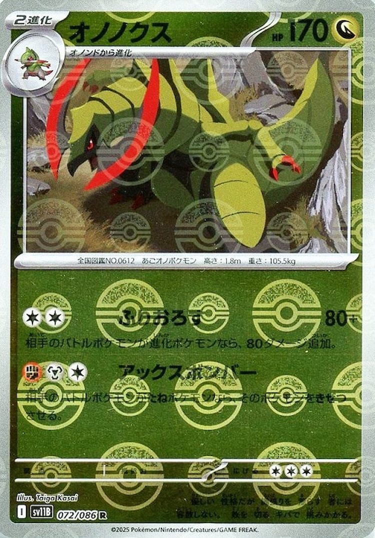 Black Bolt Haxorus Mirror