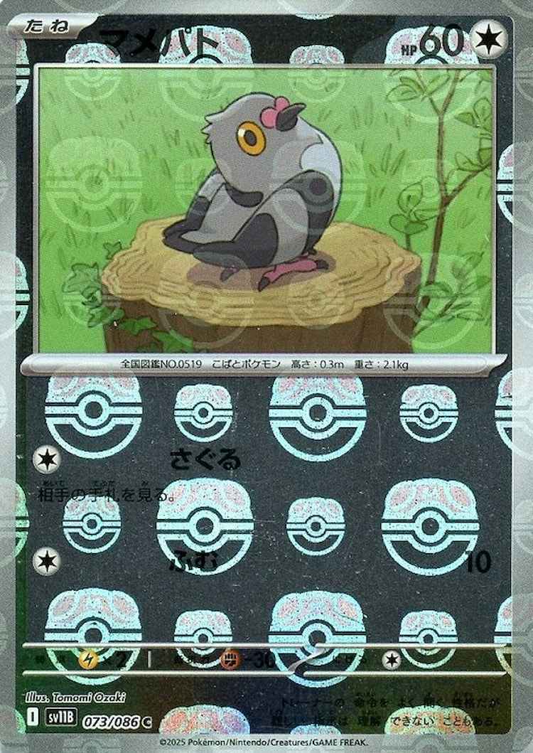 Black Bolt Pidove Master Ball Mirror