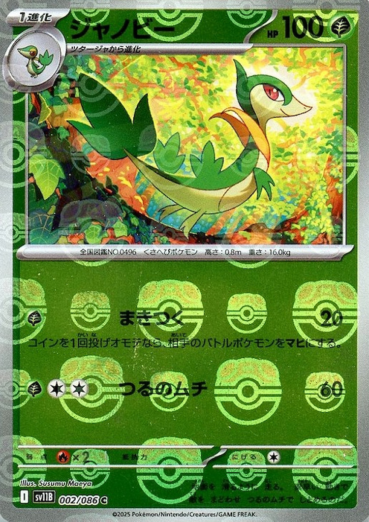 Black Bolt Servine Master Ball Mirror