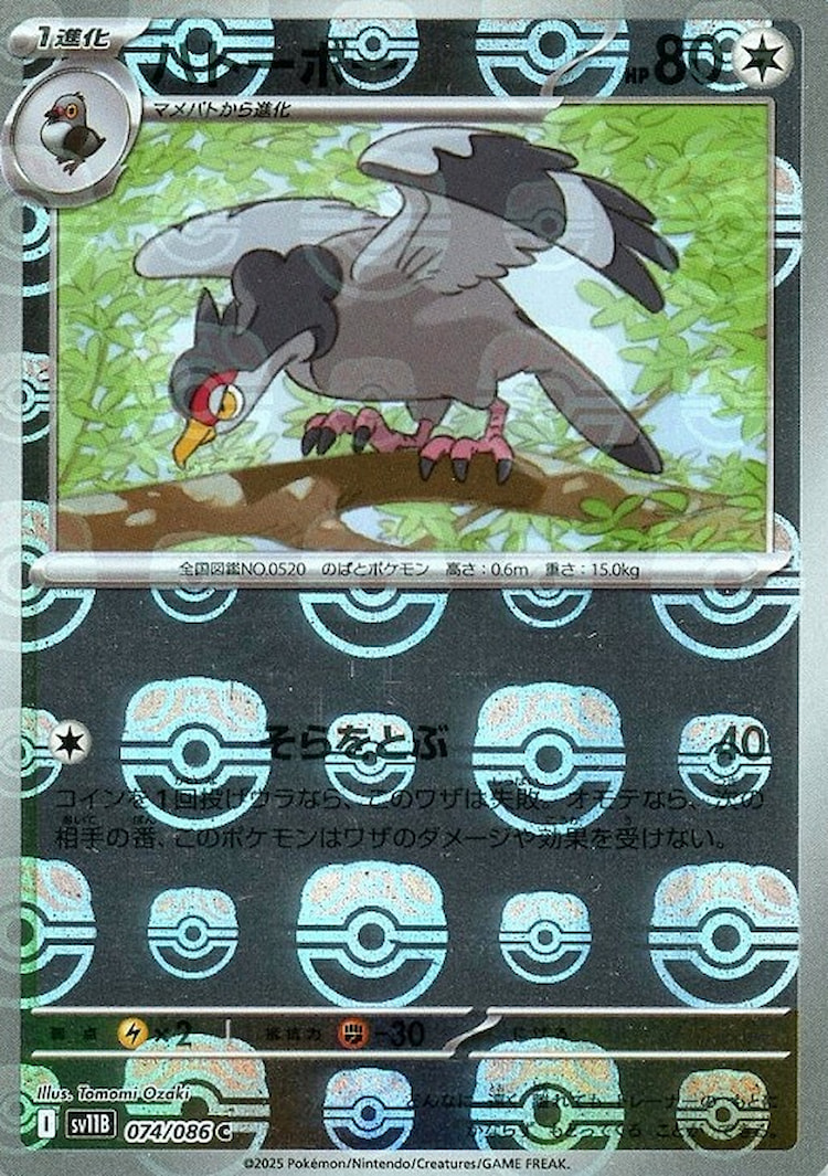 Black Bolt Tranquill Master Ball Mirror
