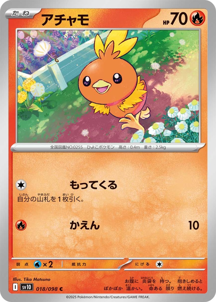 Glory of Team Rocket Torchic Common