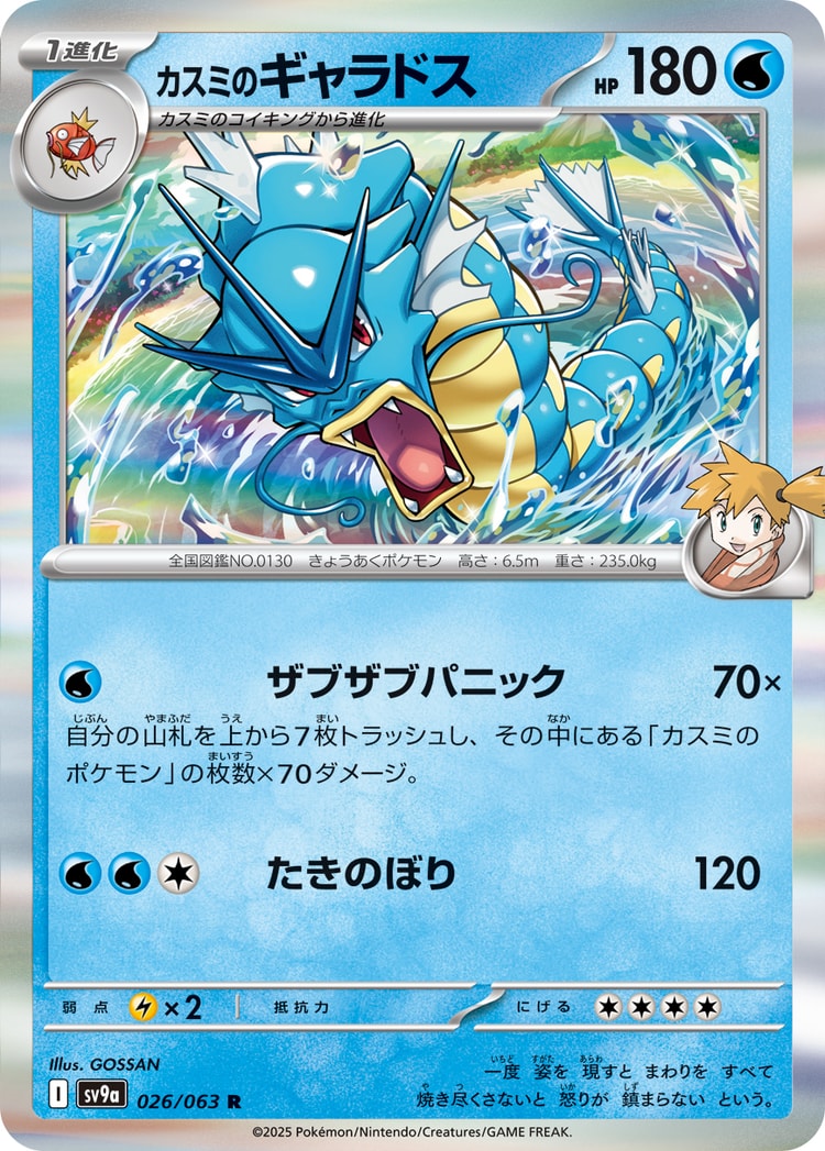 Hot Air Arena Misty's Gyarados Rare