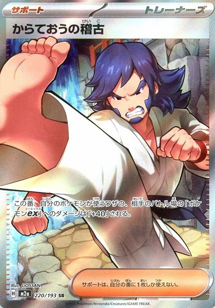 Mega Dream ex Black Belt's Training Super Rare