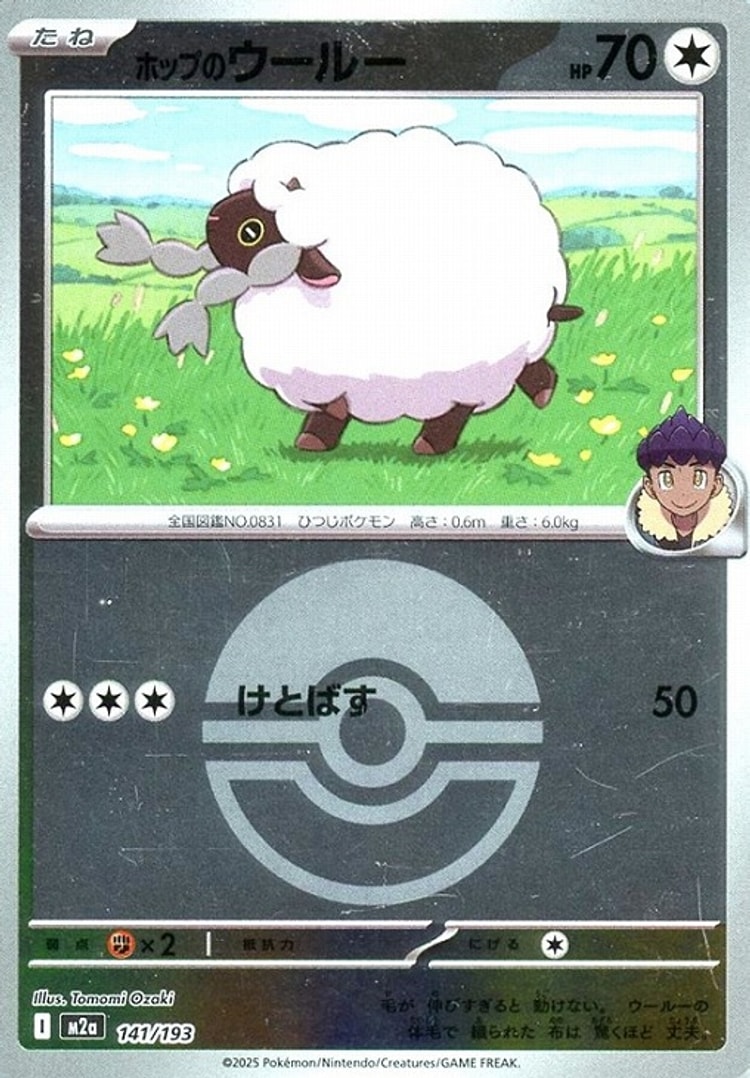Mega Dream ex Hop's Wooloo Ball Mirror