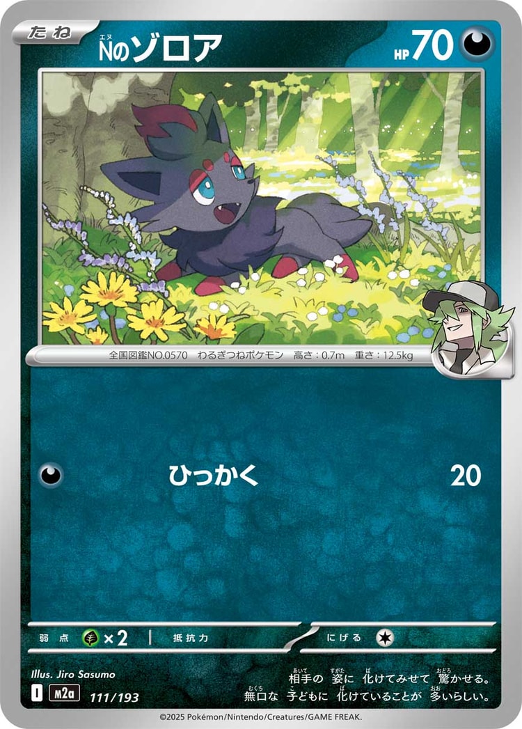 Mega Dream ex N's Zorua Common