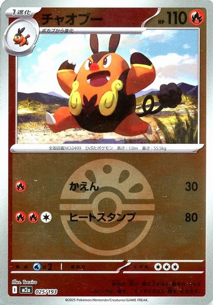 Mega Dream ex Pignite Ball Mirror