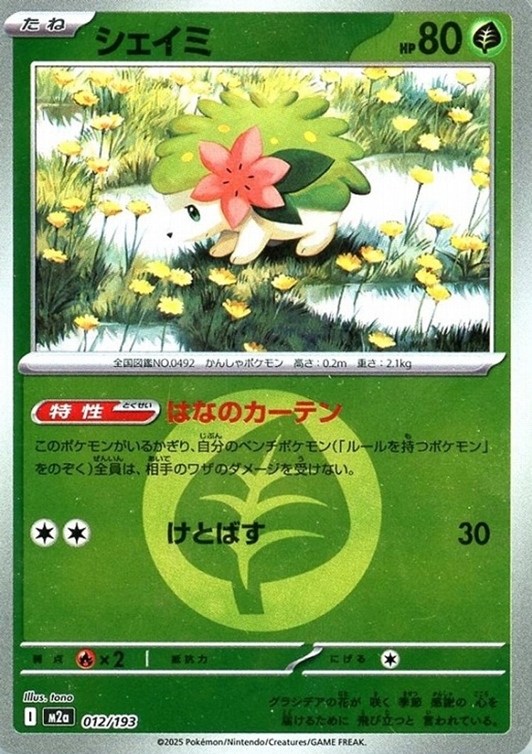 Mega Dream ex Shaymin Energy Mirror