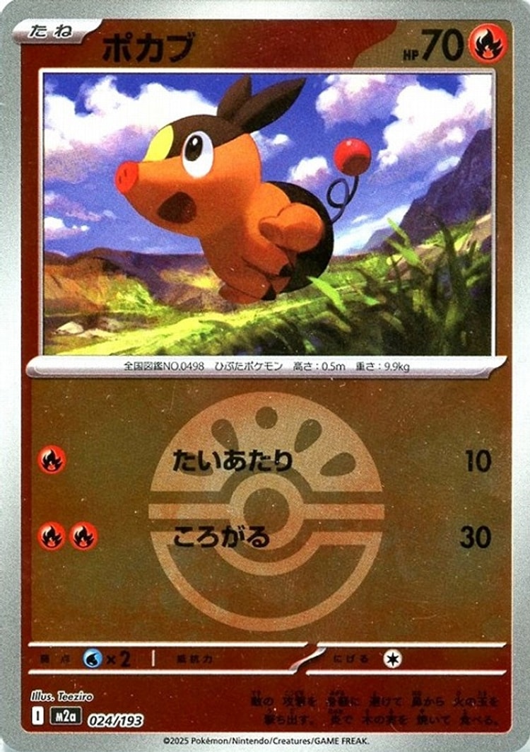 Mega Dream ex Tepig Ball Mirror