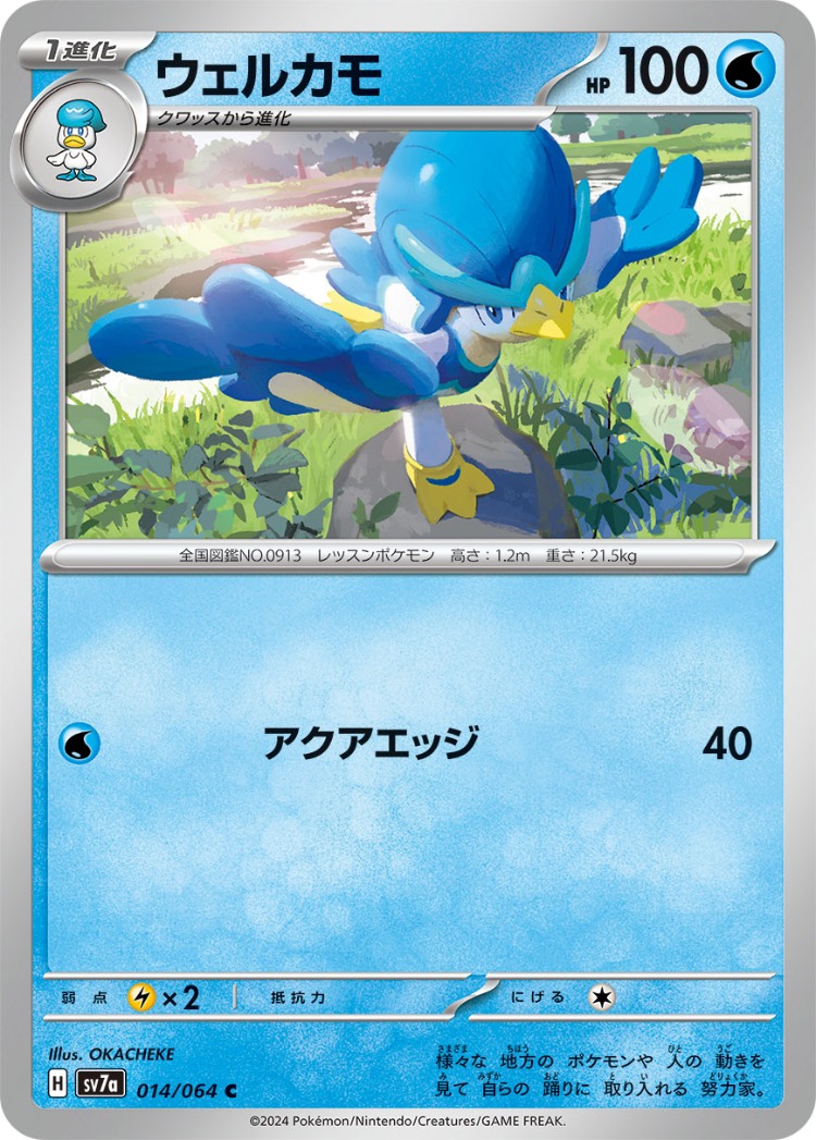 Paradise Dragona Quaxwell Common