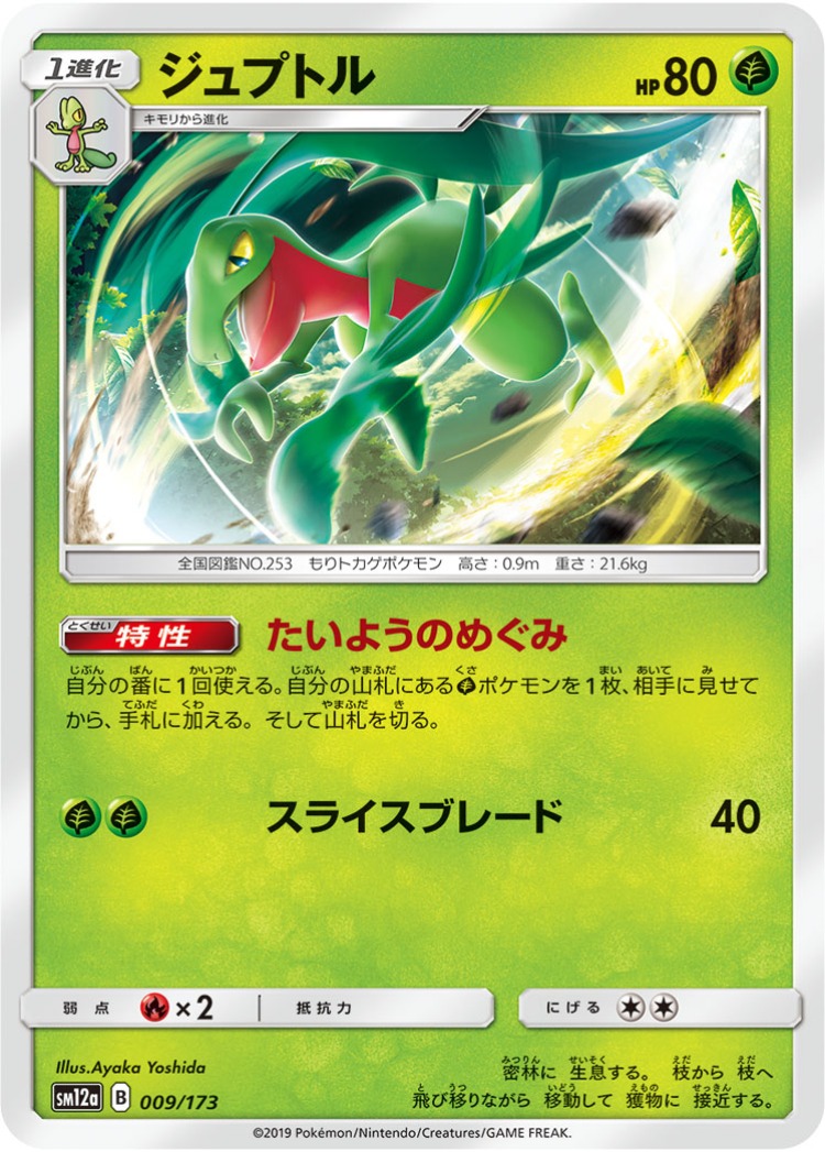 Tag All Stars Grovyle Mirror