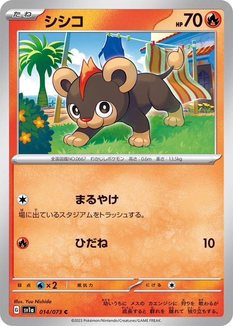 Triplet Beat Litleo Common