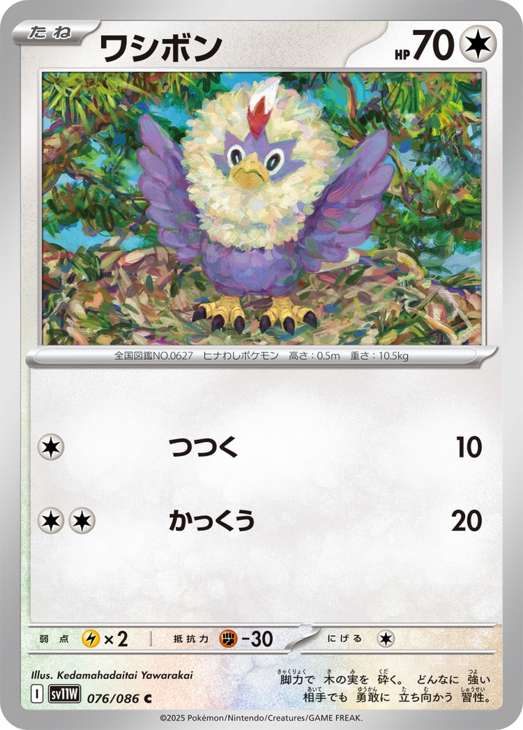White Flare Rufflet Common