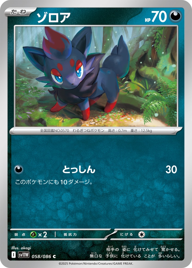 White Flare Zorua Common
