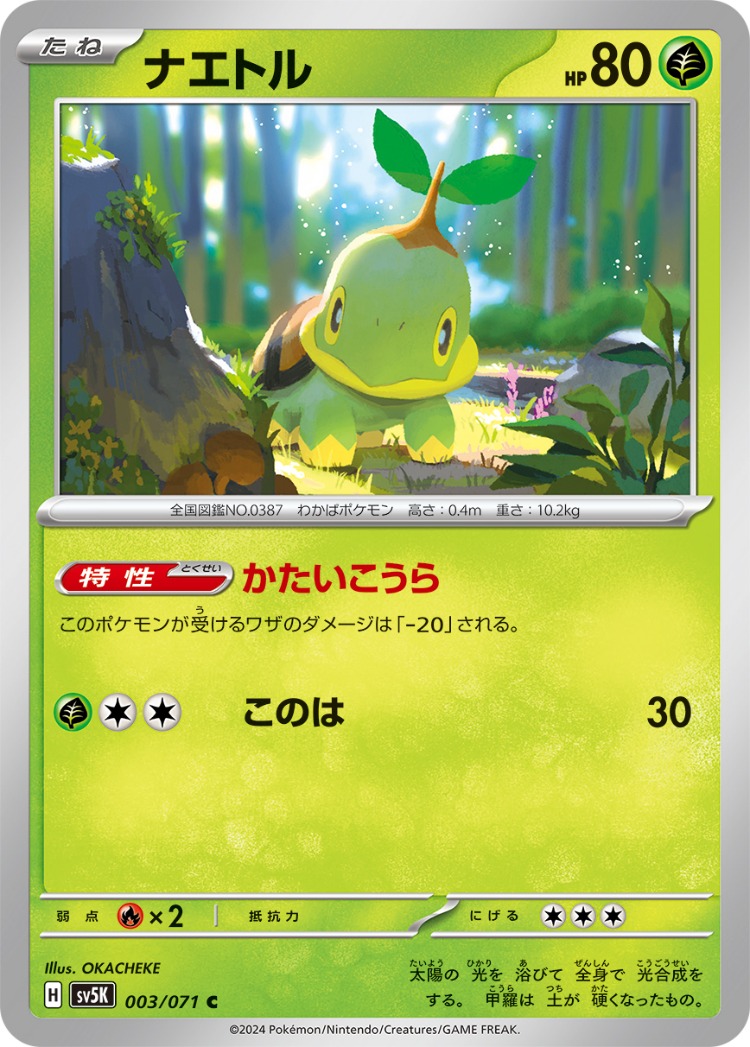 Wild Force Turtwig Common
